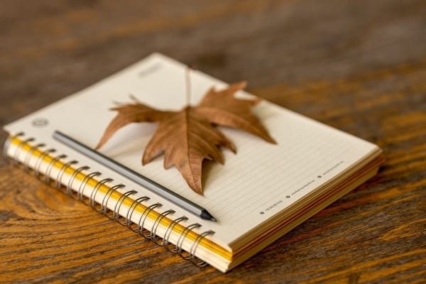 The Fresh Start Effect: Why September Feels Like a New Year